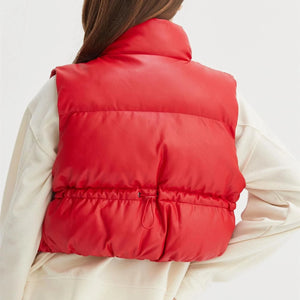 Central Park Puffer Vest