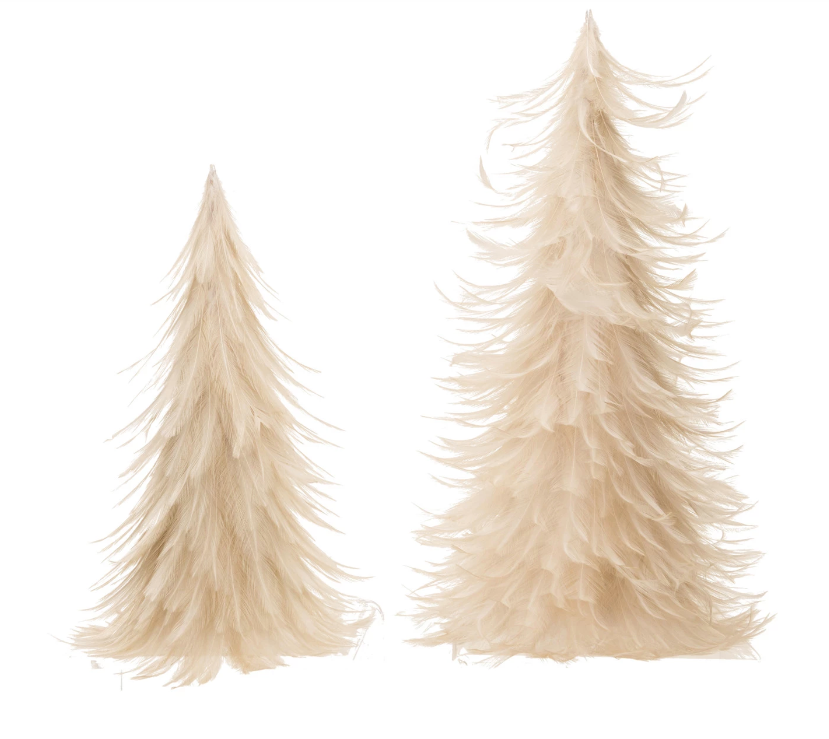 Feather Trees