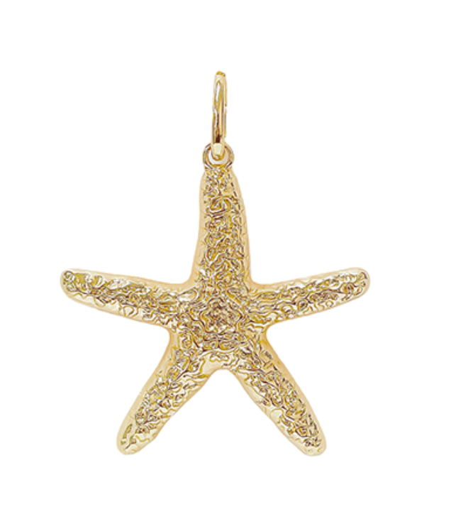 Charm Bar-Hammered Starfish